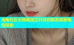 海角社区引领黑龙江科技创新发展新格局探索
