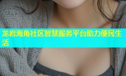 龙岩海角社区智慧服务平台助力便民生活